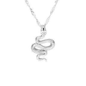Colar Pingente Cobra Prata