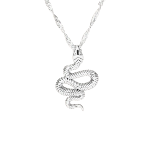 Colar Pingente Cobra Prata