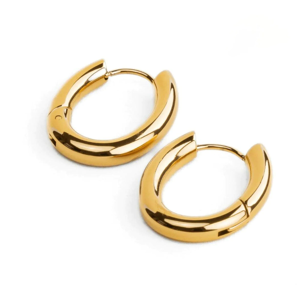 Mini Brinco de Argola Fiora Banhado a Ouro 18k